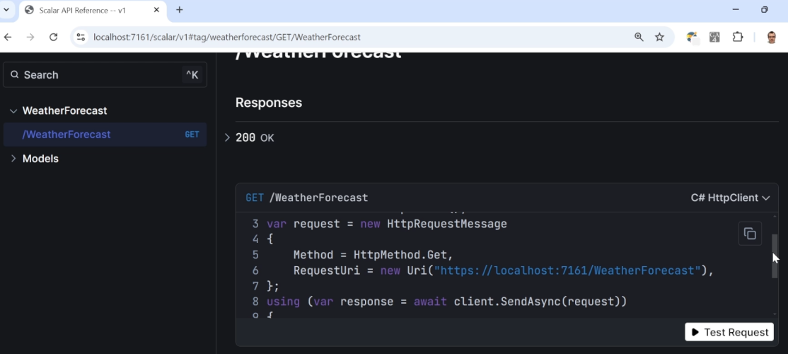 Using Scalar to test your ASP.NET Core Web API endpoints