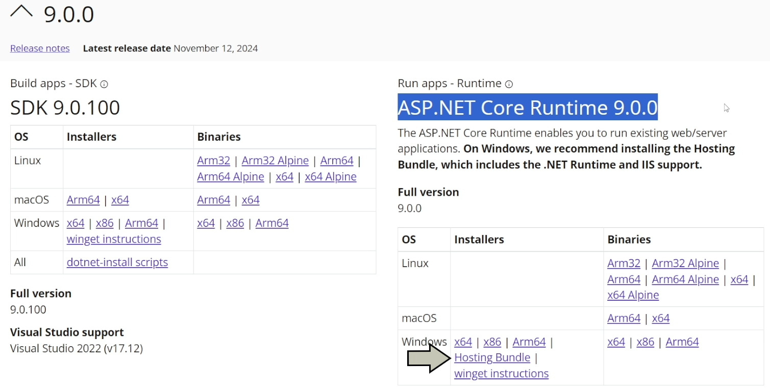 Select Windows Hosting Bundle when downloading ASP.NET Core Runtime for IIS support