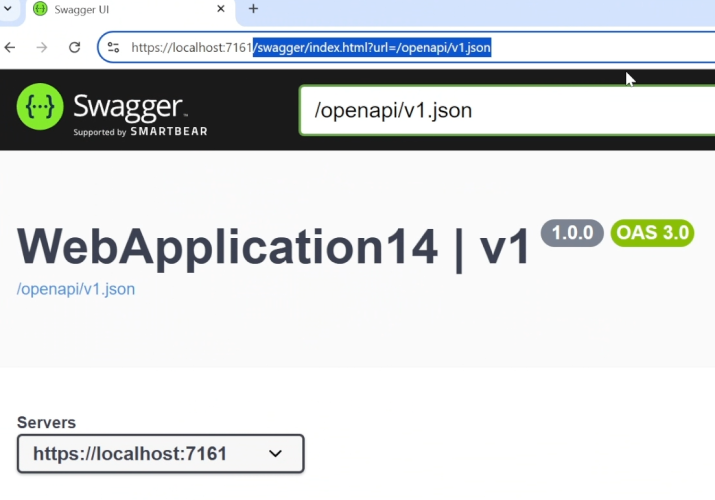 NSwag in a .NET 9 Web API using the Swagger UI