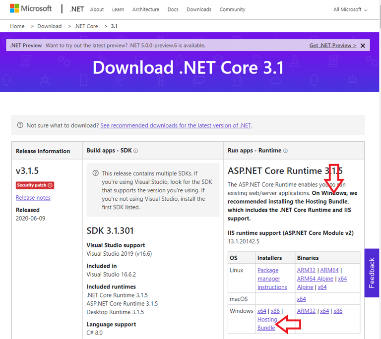 Процессор модуль asp net core iis это