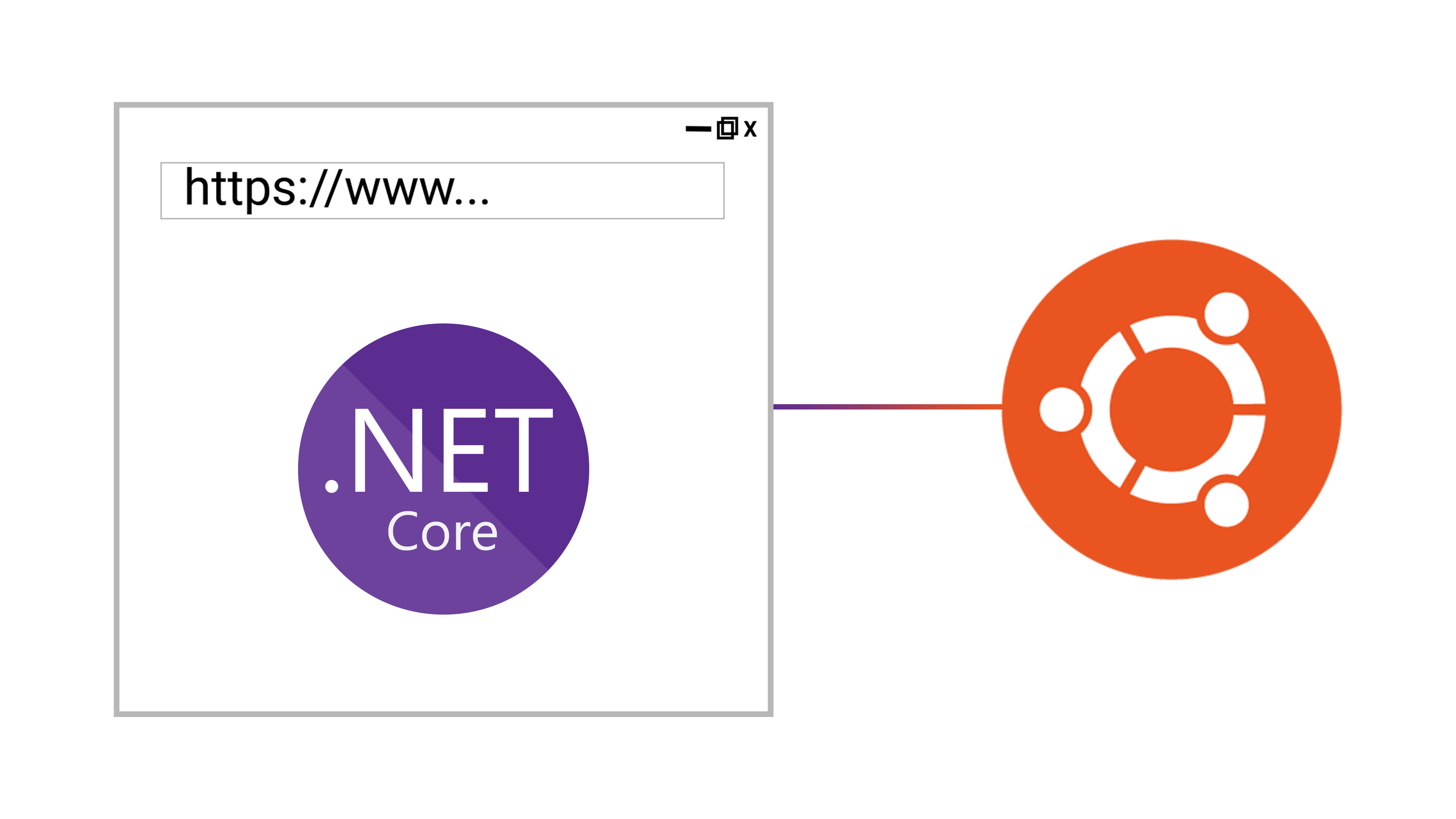 Настройка asp net ubuntu